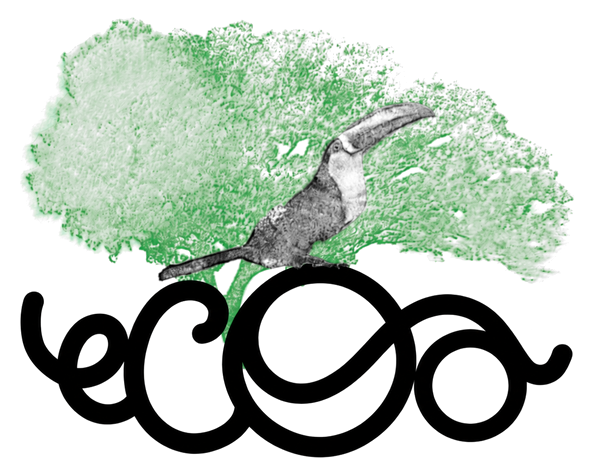ECOA — Experiência e Conexão Ambiental