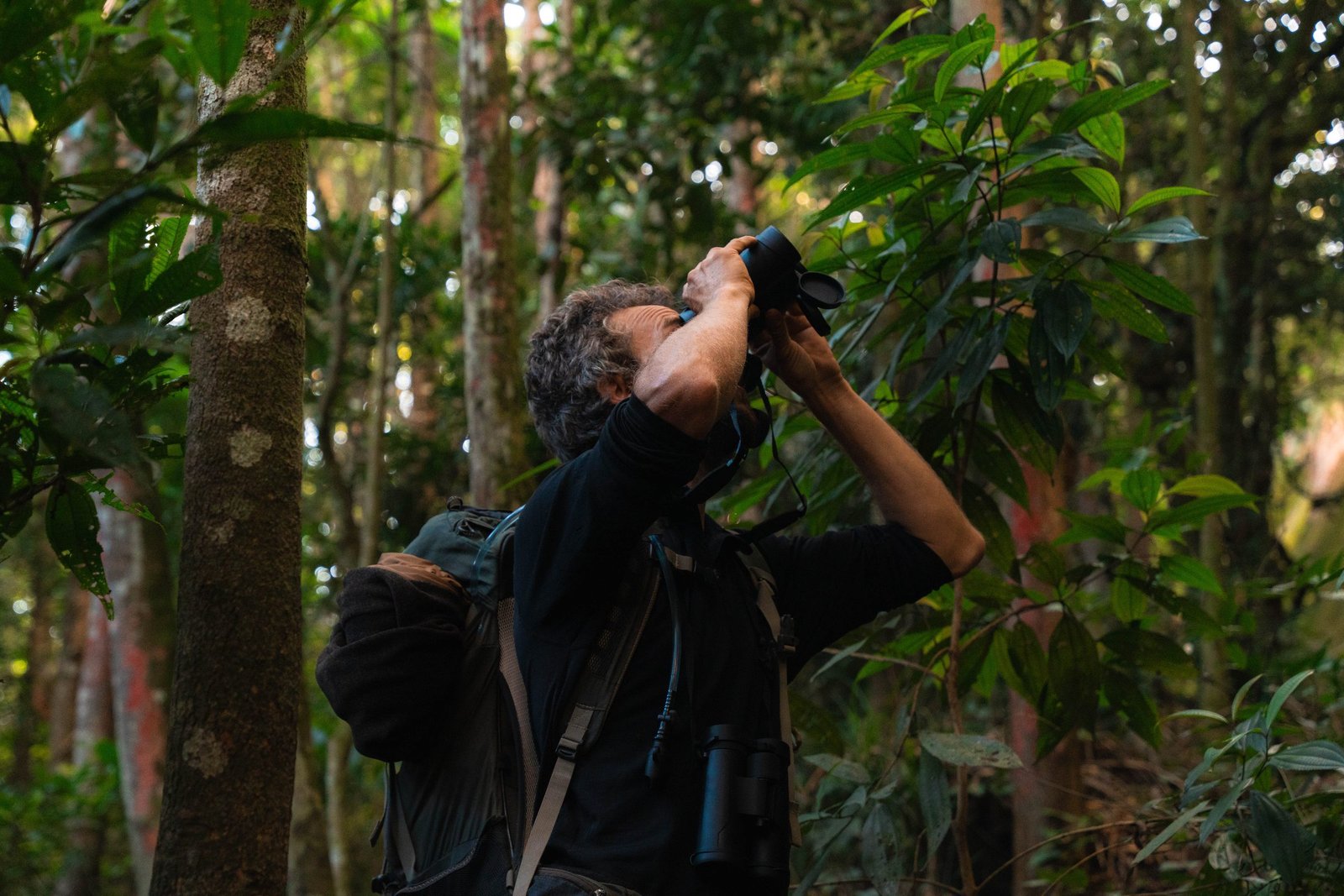 Birdwatching