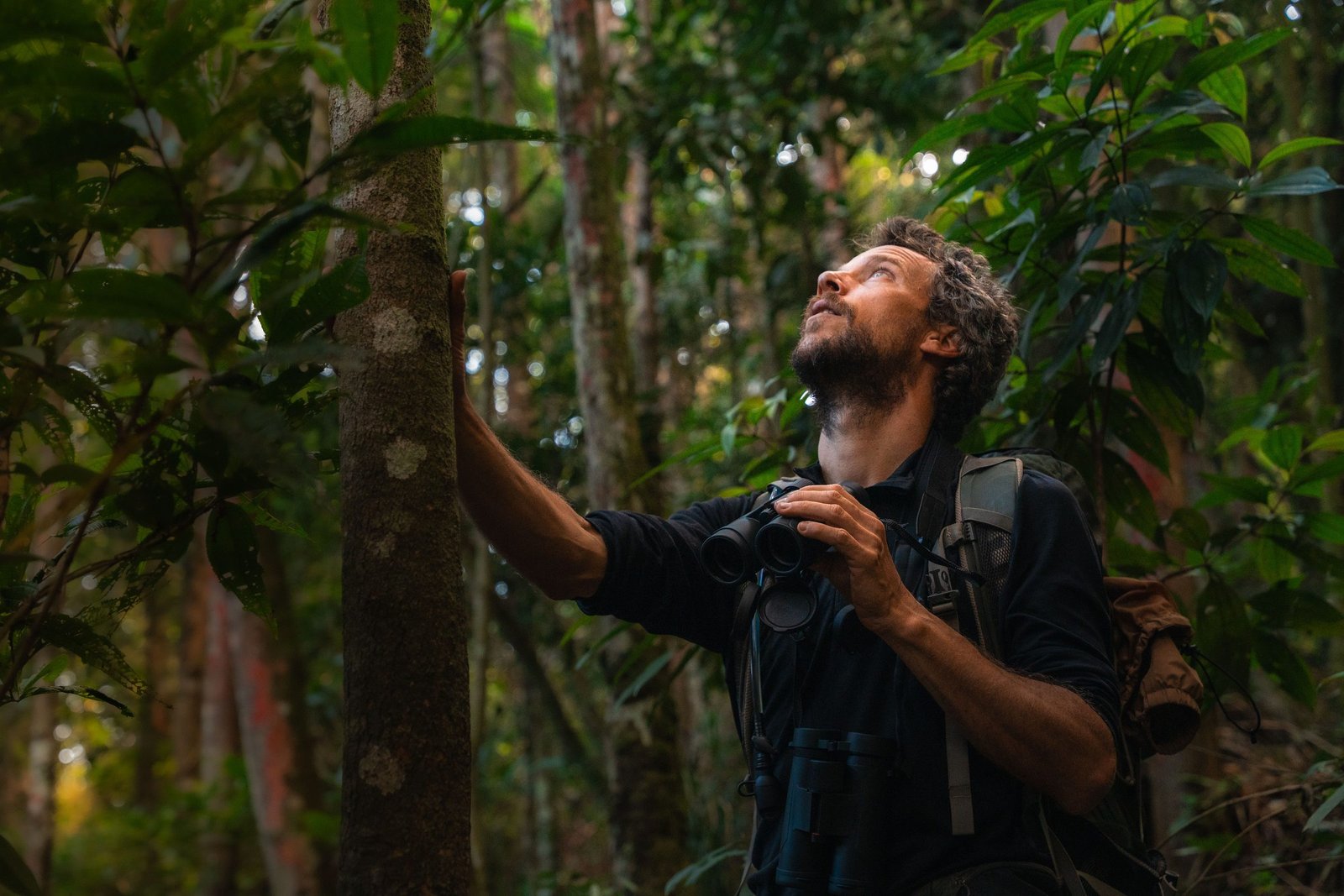 From Forest Floor to Canopy — Kaetés Reserve